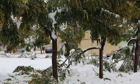 برف در اردبیل بیش از ۲۷ میلیارد ریال خسارت برجای گذاشت
