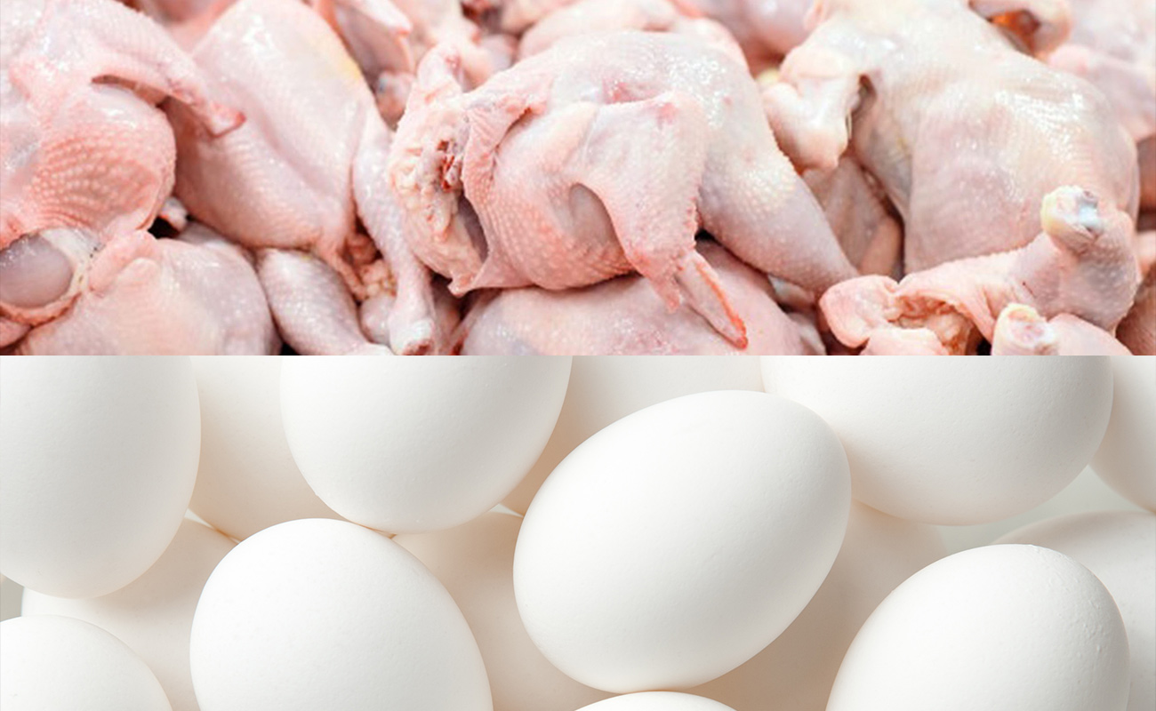 قیمت جدید مرغ و تخم مرغ اعلام شد / کاهش ۲هزار تومانی قیمت‌ها
