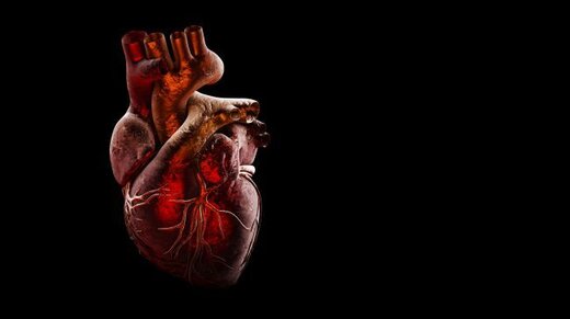 ارتباط چربی دور قلب با خطر نارسایی قلبی 