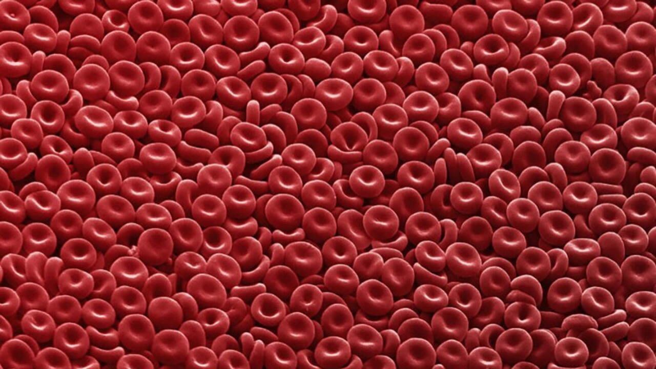 چند راهکار برای افزایش تعداد گلبول‌های قرمز خون