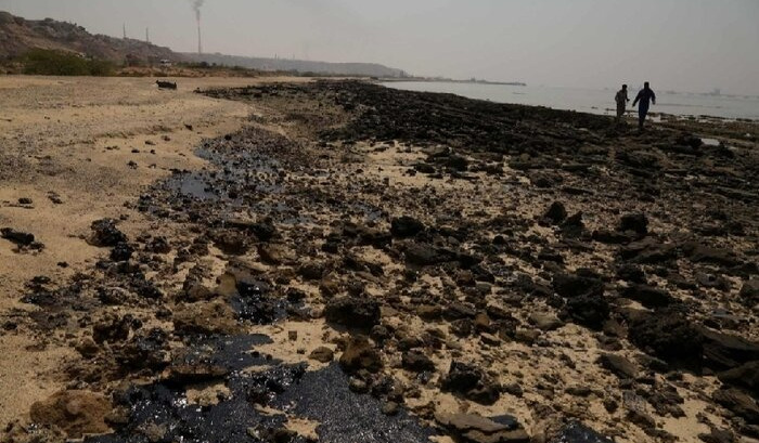مشکلات زیست محیطی جزیره خارک به تحریم مربوط نیست / وزارت نفت انگیزه حل معضل را ندارد