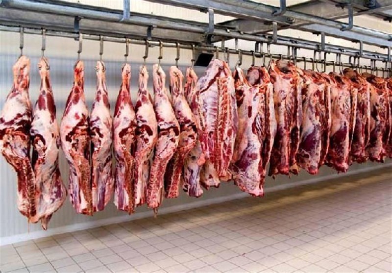واردات گوشت گوساله نصف شد