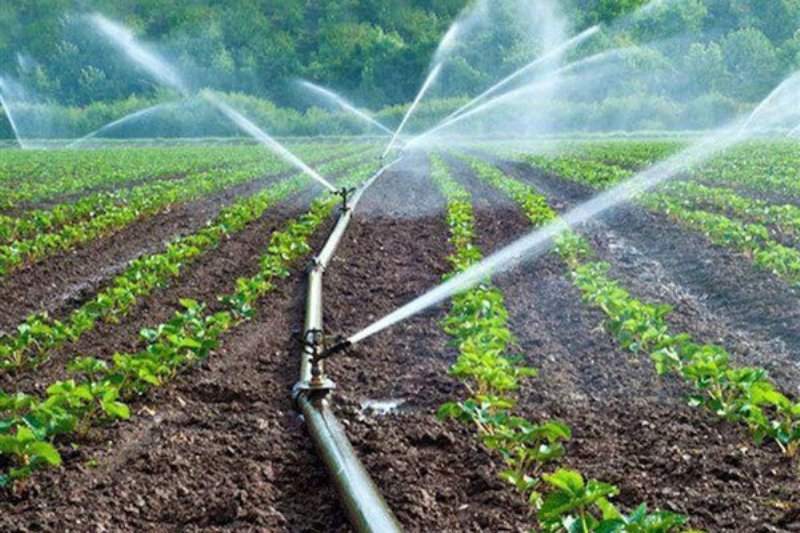 حجم آب مصرفی بخش کشاورزی کمتر از ۷۰میلیارد مترمکعب است