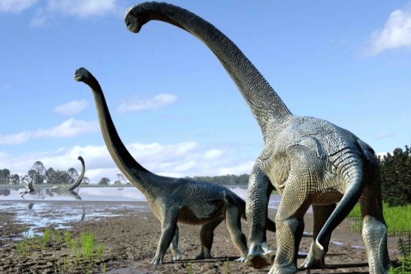 قدیمی‌ترین گونه یک دایناسور کشف شد + عکس