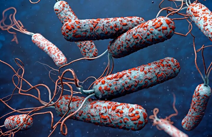  پنج بیمار مبتلا به وبا در کشور شناسایی شدند