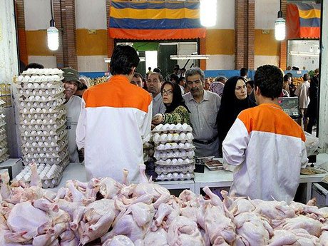 مرغ گران نیست، مغازه‌ها گران‌فروشند/ قیمت منطقی ۷۵۰۰ تومان