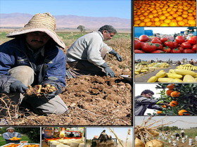 تصویب ۴۲۵۵ هزار میلیارد ریال وام، برای رفع موانع تولید بخش کشاورزی