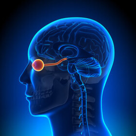 بازگشت بینایی یک معلم از طریق ‌ایمپلنت مغزی