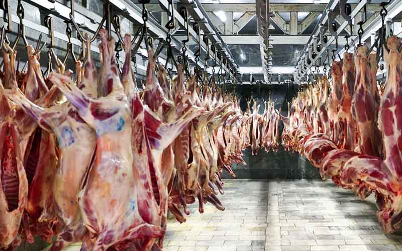 17هزار تن گوشت آماده انتقال به کشور است