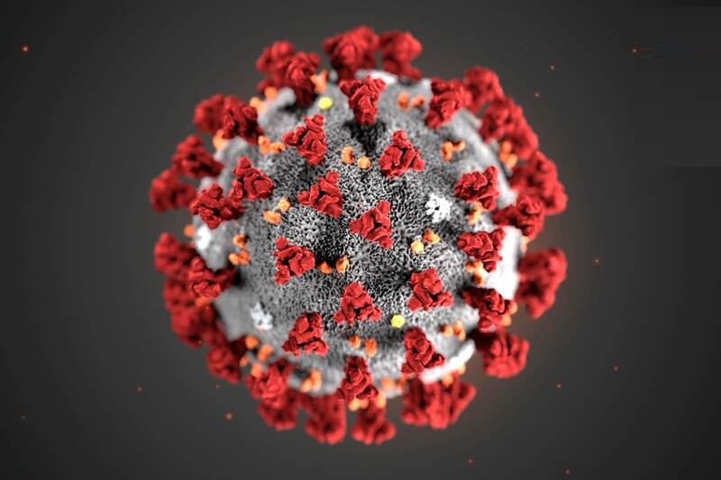 کروناویروس جدید بیشتر چه کسانی را مبتلا می‌کند؟