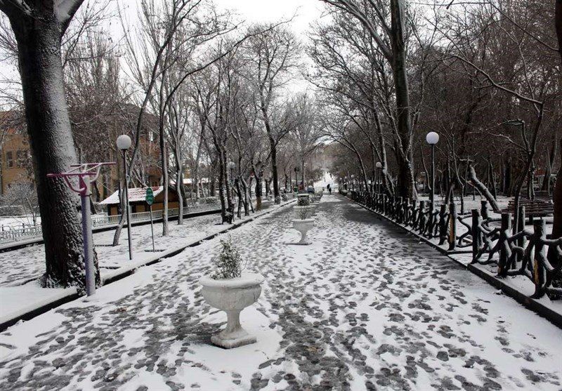 برف و باران در راه ایران