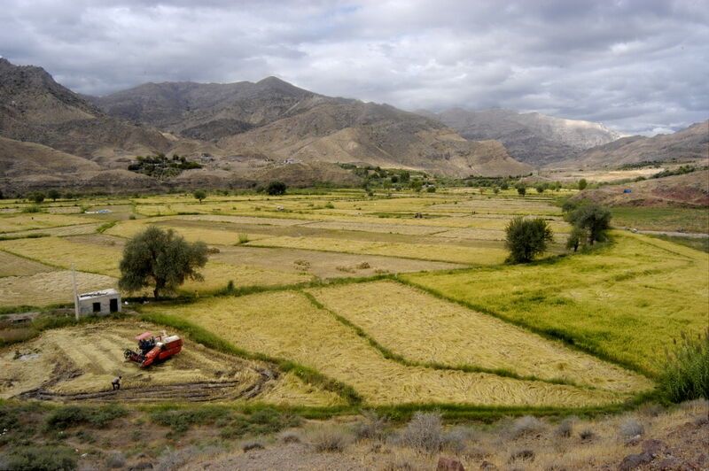 ۷۰درصد اراضی کشاورزی کشور فاقد سند است