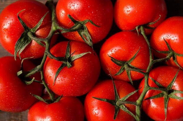 نرخ گوجه فرنگی در بازار میوه و تره‌بار شهرداری تهران؟