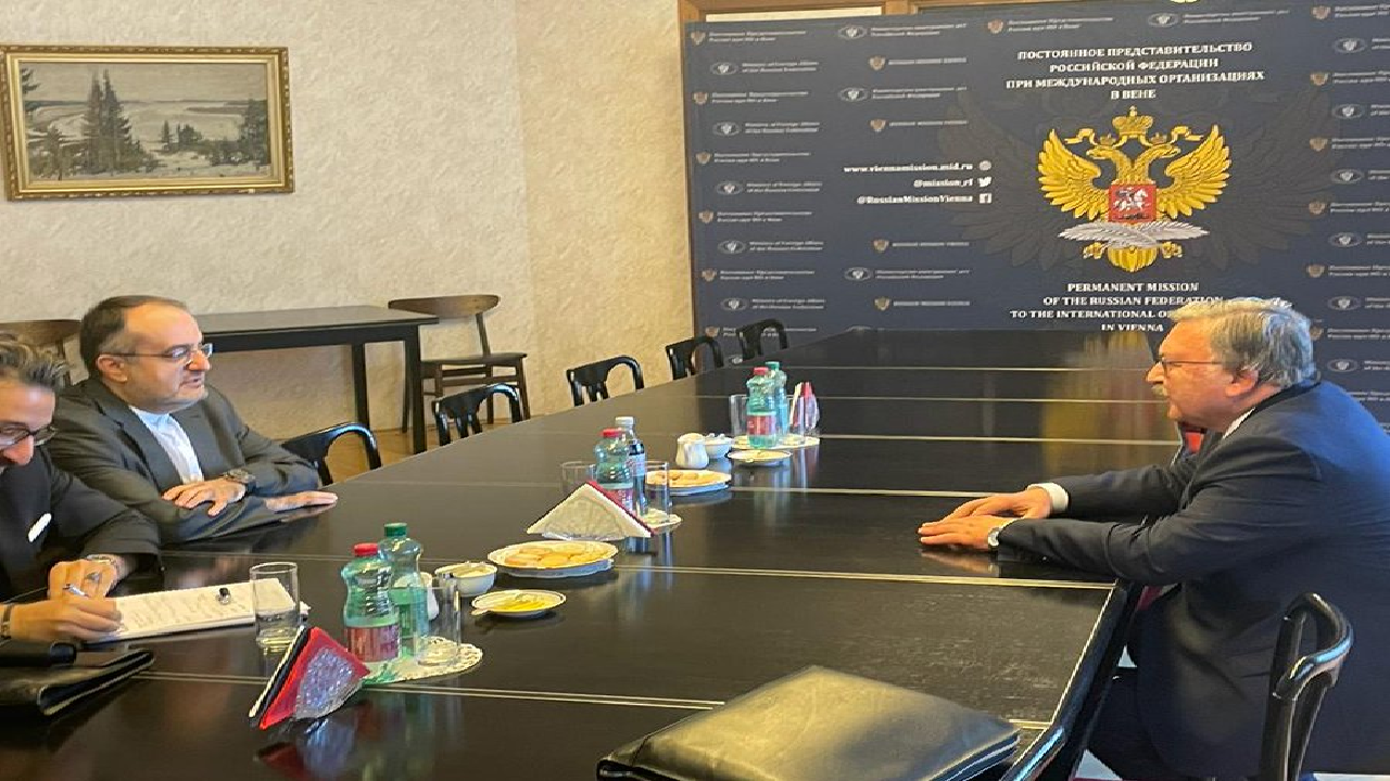  اولیانوف با نماینده ایران در وین دیدار کرد