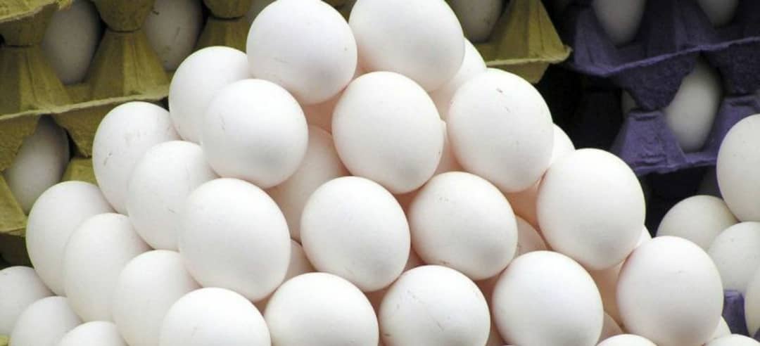 اختلاف قیمت ۱۰هزار تومانی در بازار تخم مرغ!