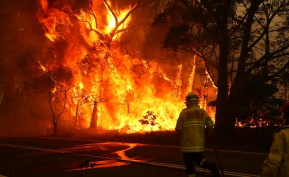 خسارت آتش سوزی استرالیا به شرکت‌های بیمه‌ای ۶۴۶میلیون دلارآمریکا است