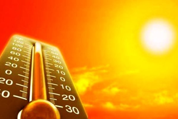افزایش ترشح هورمون استرس با گرم تر شدن هوا