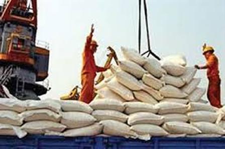 واردات دولتی برنج پارسال افت کرد