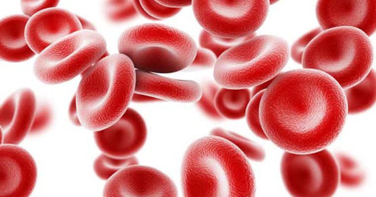 گروه‌های خونی منفی جهت اهدای خون اقدام کنند