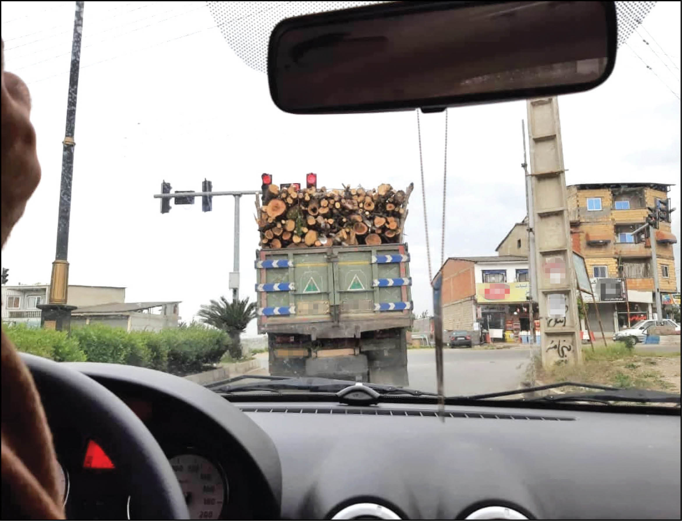 گردش مالی ۱۰۰میلیارد تومانی قاچاق چوب در ایران
