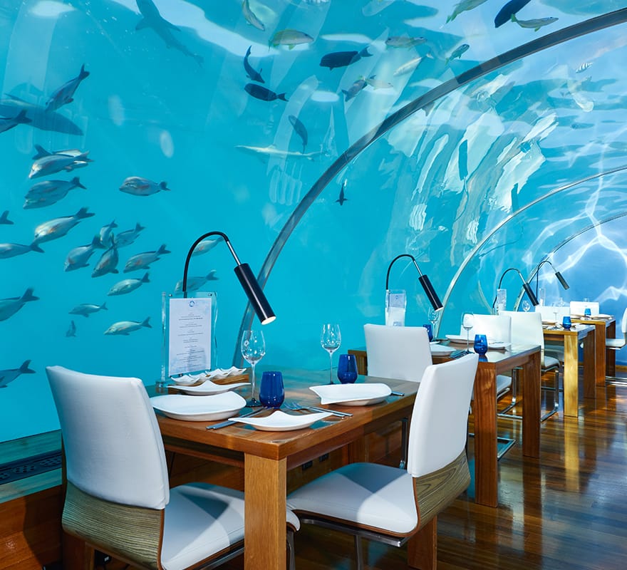 رستوران آبی مالدیو! +تصاویر