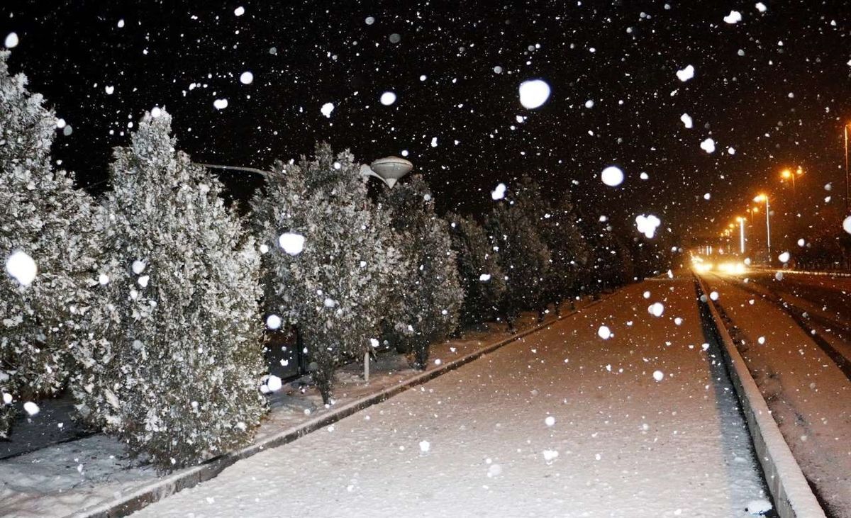 بارش ۲۰ سانت برف در استان فارس + فیلم