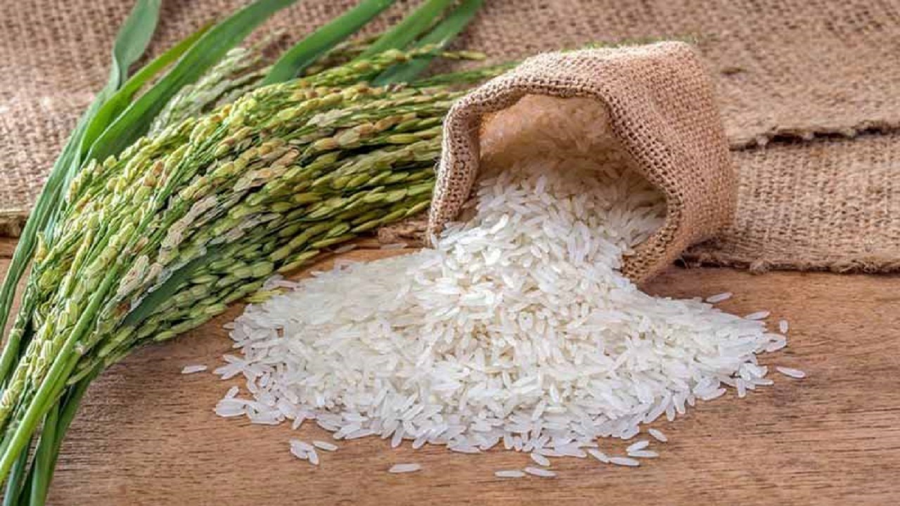 افزایش ۳۳ درصدی ترخیص برنج نسبت به شش ماهه سال گذشته