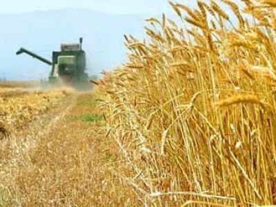 آمادگی ایران برای صادرات محصولات کشاورزی به قطر