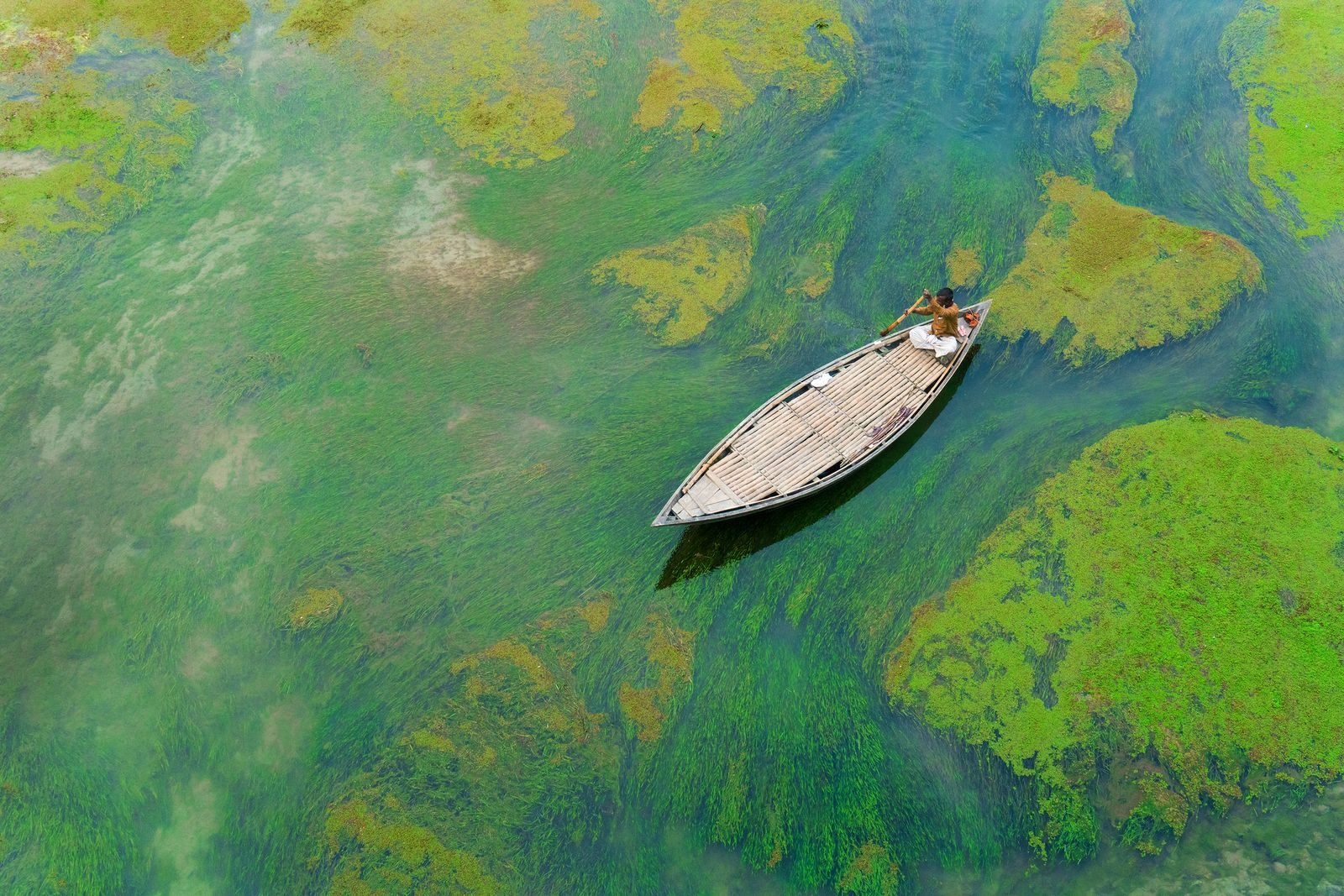 پارو‌ زدن بر رودخانه سبز در عکس روز نشنال‌جئوگرافیک +عکس
