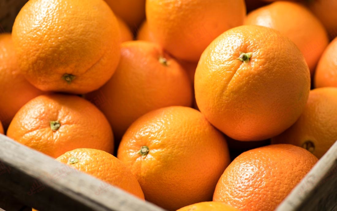 پیش بینی تولید ۴.۲میلیون تن پرتقال و نارنگی در کشور