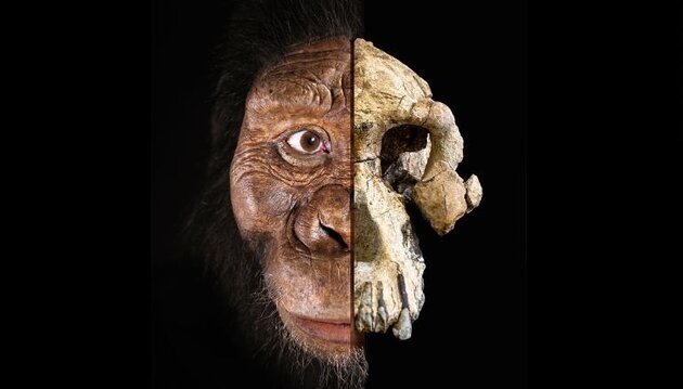 چهره قدیمی‌ترین انسان‌های اولیه رونمایی شد +عکس