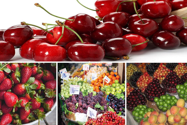 ریزش ۳۰درصدی قیمت انواع میوه و صیفی‌جات