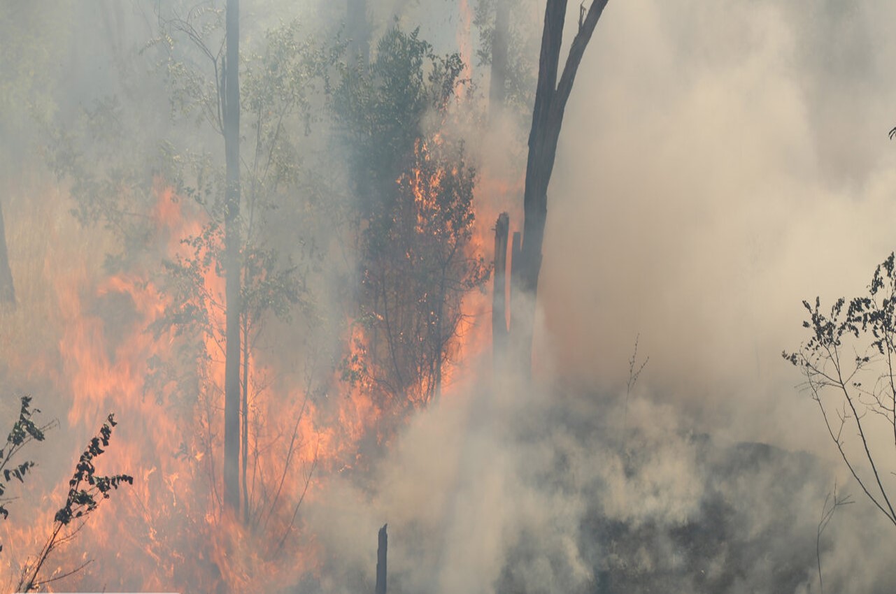 آخرین وضعیت آتش‌سوزی در جنگل‌های رودبار
