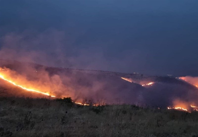 شش کشته در آیداهوی آمریکا به دلیل آتش سوزی جنگل + فیلم