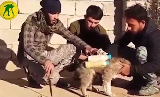 عجیب‌ترین سلاح انتحاری داعش +تصاویر