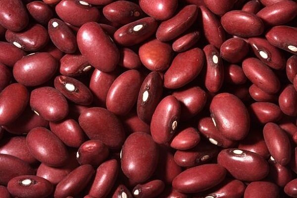 گمرک ایران: ترخیص محموله‌های لوبیا قرمز ممنوع است