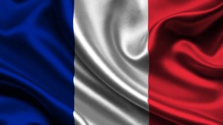 ​توییت نماینده فرانسه در وین راه بازگشت به پاریس