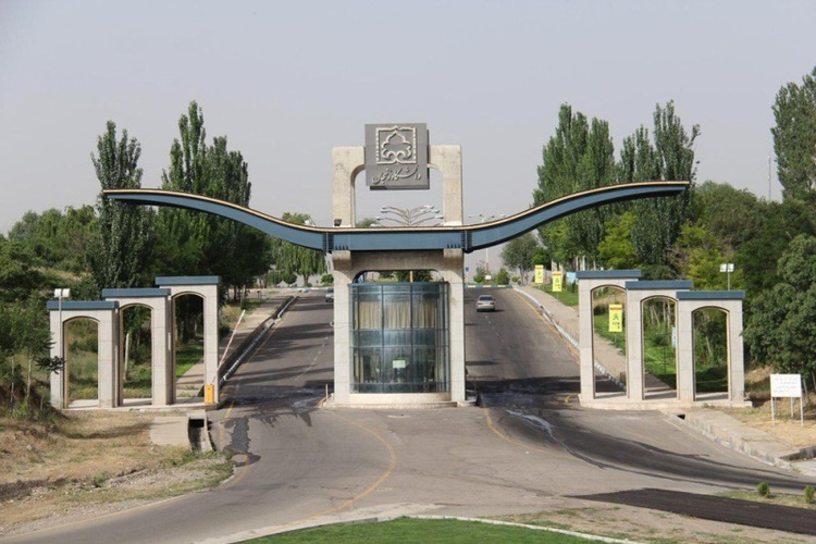 گرگ در دانشگاه زنجان!