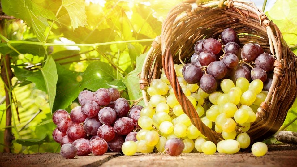 ۱۲ فایده مهم خوردن انگور برای سلامتی