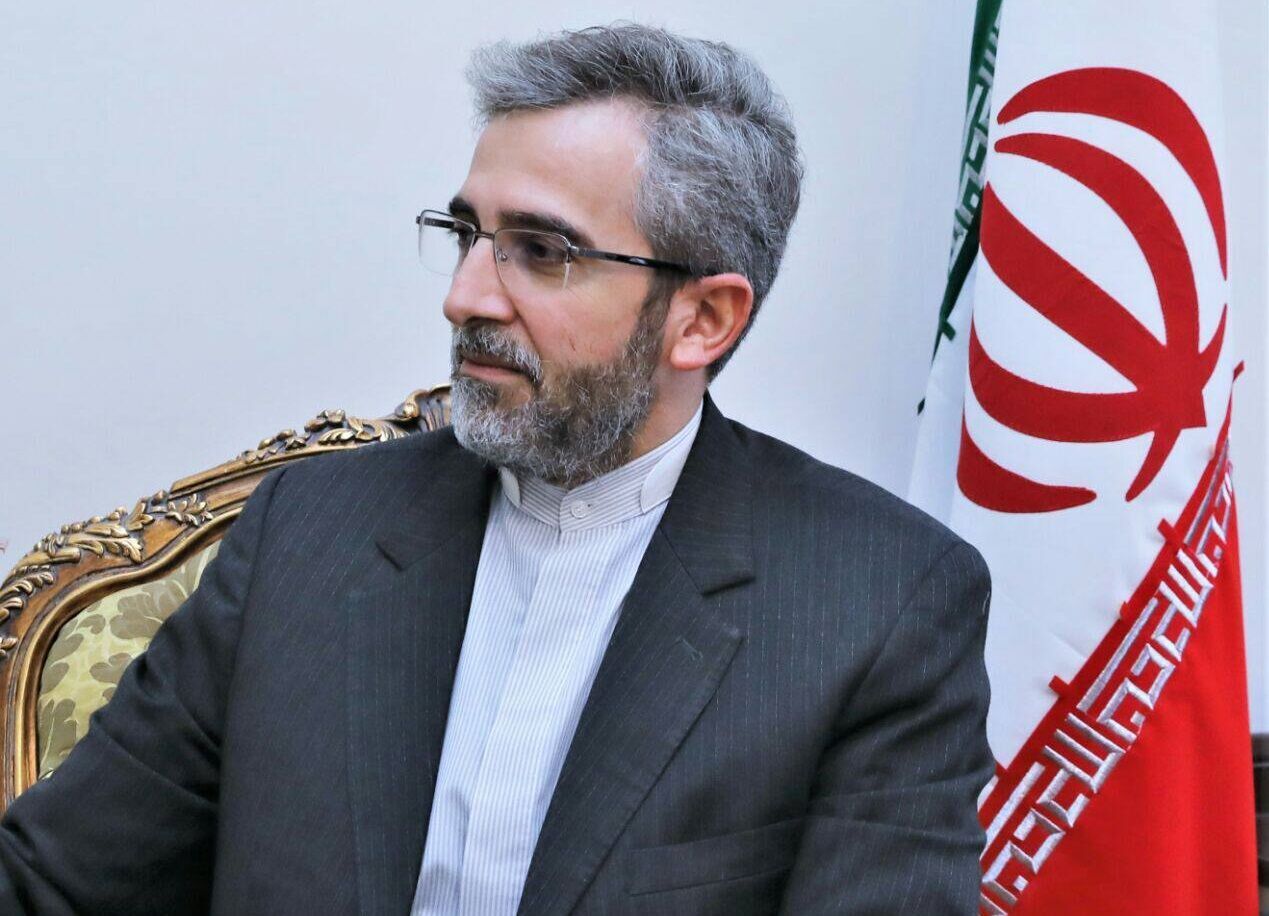 باقری کنی: گام دوم در سیاست همسایگی ایران ارتقای همکاری های چند جانبه و منطقه ای است