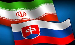 اسلواکی از بهبود رتبه‌بندی ریسک اعتباری ایران حمایت می‌کند