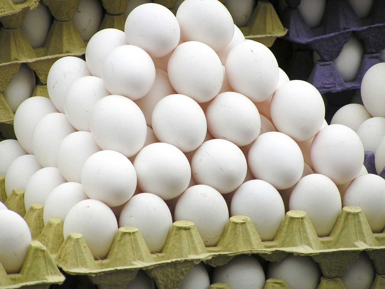 ۱۳ درصد؛ افزایش قیمت تخم مرغ در یک‌سال اخیر