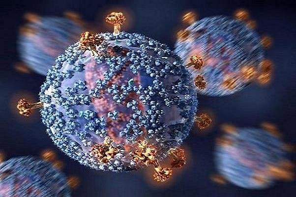 آنتی بادی ها کلید توقف HIV