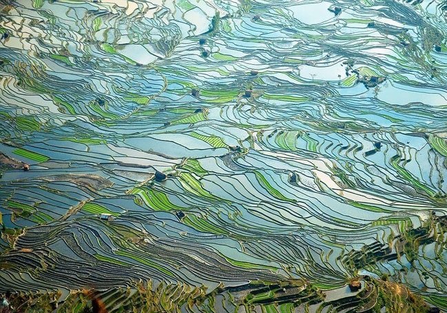 مناظر دیده نشده از چین +تصاویر