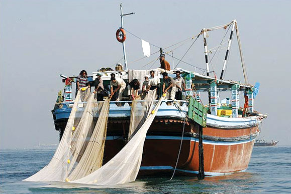 کشتی‌های صیادی‌ایرانی دارای مجوز صید از شیلات هستند