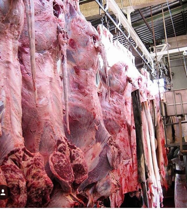 افزایش قیمت گوشت گوسفندی در بازار 