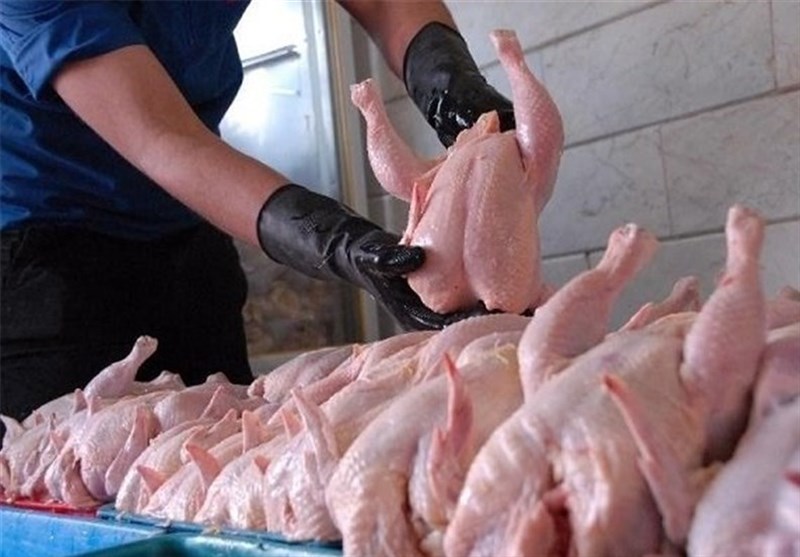 صادرات مرغ و تخم‌مرغ به کویت آزاد شد