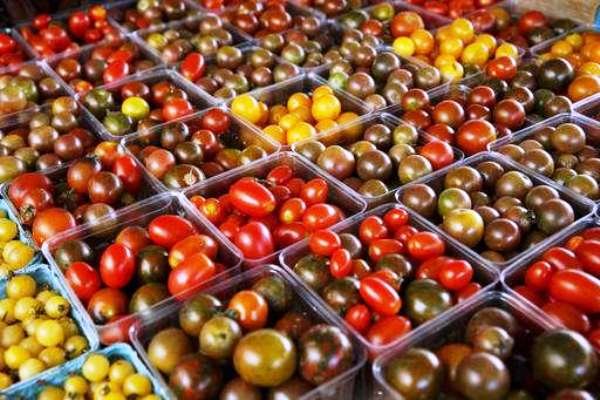گوجه فرنگی صد‌ در‌صد ارزان شد/ بازار میوه شب یلدا قابل پیش‌بینی نیست