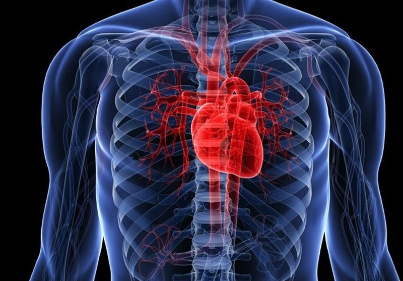 درمان "نارسایی قلب" از نظر طب سنتی چیست؟