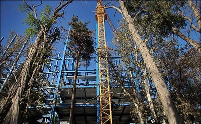 ۵ هزار هکتار از باغات تهران به برج تبدیل شد